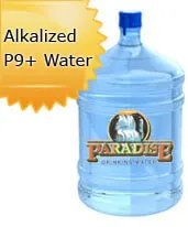 5 Gallon Alkalized Bottled Water Paramount